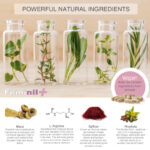 500 COSMETICS - FEMINIL+ AUMENTO LIBIDO SEXUAL FEMENINO - 30 CAPSULAS - Imagen 2