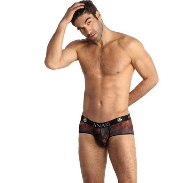 Imagen del artículo erótico ANAIS MEN - CHILL BOXER BRIEF L de ANAIS MEN BOXER & BRIEF en la sección MODA & LENCERÍA|Lencería Hombre|Boxers de Millenial Sexshop.