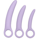 Imagen del artículo erótico CALEXOTICS - DR LAURA BERMAN ALENA SET DE 3 DILATADOR VAGINAL SILICONA de CALEXOTICS en la sección JUGUETES BIENESTAR |Anal|Plugs Anales de Millenial Sexshop.