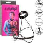 CALEXOTICS - EUPHORIA ARNÉS DE CUELLO DE CADENA - Imagen 2