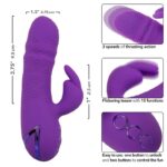 CALEXOTICS - MANHATTAN BEACH MARVEL VIBRADOR RABBIT MORADO BY CALIFORNIA DREAMING - Imagen 7