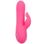 CALEXOTICS - SACRAMENTO SWEETIE VIBRADOR RABBIT ROSA BY CALIFORNIA DREAMING - Imagen 3
