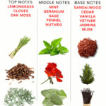 EYE OF LOVE - EOL PHR PERFUME DELUXE 50 ML - ROMANTIC - Imagen 4