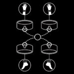 FETISH SUBMISSIVE - SET ESPOSAS MANOS Y TOBILLOS CON FORRO DE NEOPRENO - Imagen 3