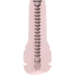 KIIROO - FEEL GENERIC PALE STROKER - Imagen 5