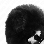 KINK - PLUG 7 x 3 CM DE ACERO INOXIDABLE CON COLA DE CONEJO PIEL SINTÉTICA 8 CM NEGRO - Imagen 4