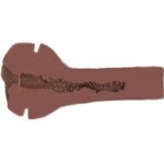 PRIVATE - MASTURBADOR SEXY SISTA TO GO - Imagen 6