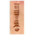 SHEQU - EDITH MASTURBADOR VAGINA - Imagen 4