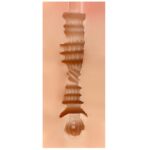 SHEQU - MIRIAM MASTURBADOR VAGINA - Imagen 4