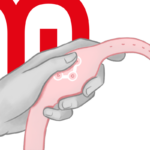 WATCHME - RELOJ CONTROL REMOTO WIRELESS TECHNOLOGY ROSORAL - Imagen 10