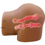 CRAZY BULL - GERIANN TRASERO FEMENINO REALISTA VIBRADOR & SUCCIONADOR CON SONIDO 5.5 KG - Imagen 7