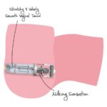 HIDDEN DESIRE - BIG ASS MILKING BITCH MASTURBADOR FEMENINO 16 KG - Imagen 7