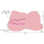 HIDDEN DESIRE - BIG FAT BANGING BABE TORSO MASTURBADOR FEMENINO 10 KG - Imagen 7