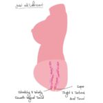 HIDDEN DESIRE - JUICY DOUBLE D MASTURBADOR VAGINA Y ANO 5 KG - Imagen 7