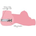 HIDDEN DESIRE - MILKING MEGA SLUT TORSO MASTURBADOR FEMENINO 22 KG - Imagen 6