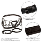 CALEXOTICS - EUPHORIA ARNÉS DE MUSLO CON CADENAS PREMIUM - Imagen 3